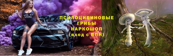 таблы Осинники